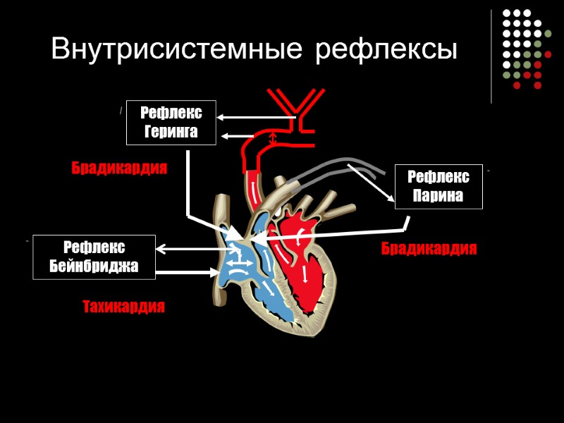 Внутрисистемные рефлексы
